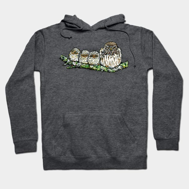 Pygmy Puffballs Northern Pygmy-owl Hoodie by 10000birds